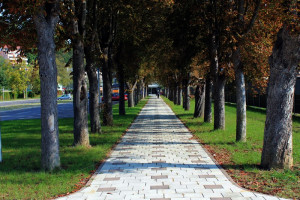 Krapinske Toplice aleja